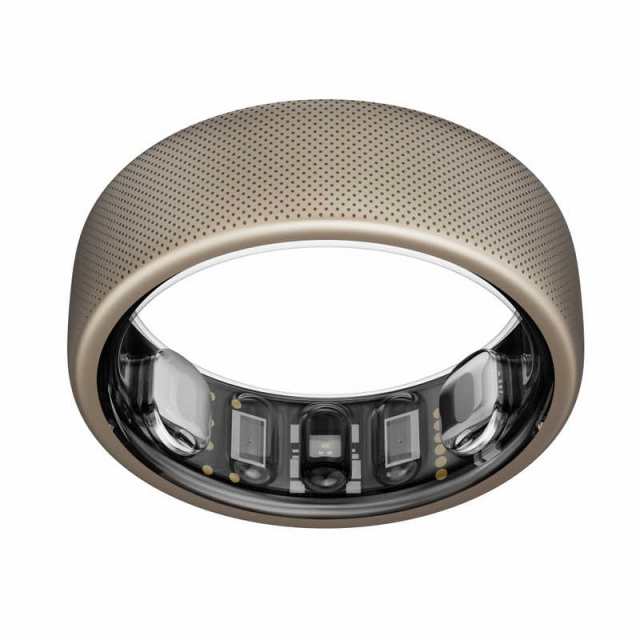 アースリボーン　Amazfit サイズ10(M) AMAZFIT チタン　Helio Ring