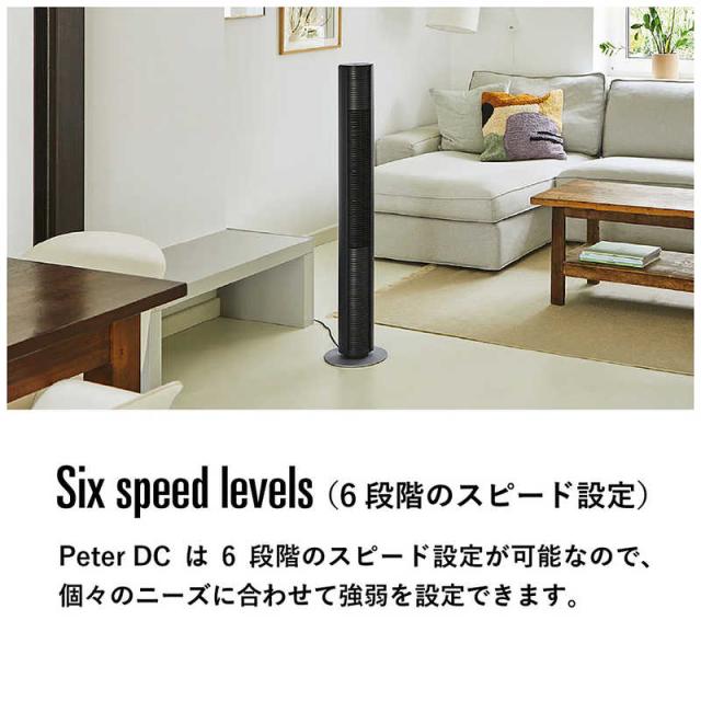 スタドラーフォーム　タワーファン DCモーター搭載 (省エネタイプ) 自動首振り機能あり Peter リモコン付き ブラック　SF-PETERDC-BK_4