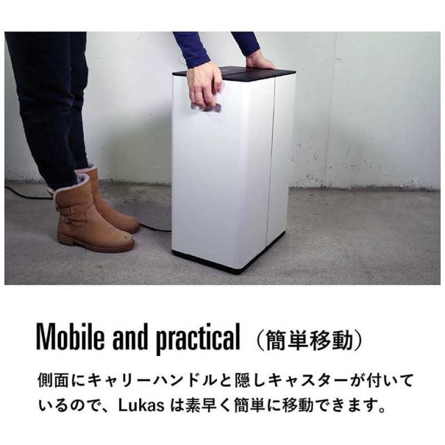 スタドラーフォーム 除湿機 Stadler Form Lukas コンプレッサー方式