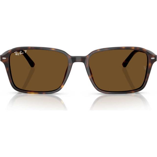 レイバン サングラス RAIMOND (Low Bridge Fit) RB2231F 902/57 56mm