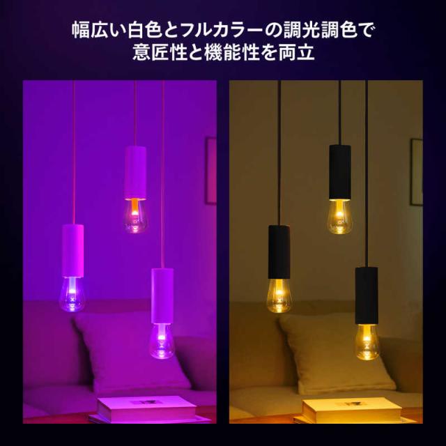 フィリップス PHILIPS Philips Hue ライトガイド E26 ST72 ［E26 /一般
