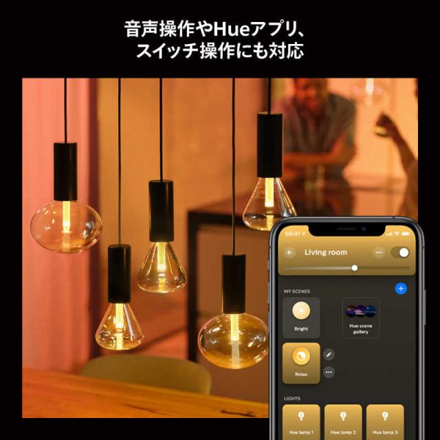フィリップス PHILIPS Philips Hue ライトガイド E26 ST72 ［E26 /一般