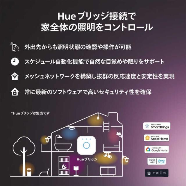 フィリップス　PHILIPS　Philips Hue Go ポータブルテーブルランプ　PHGOTLW_11