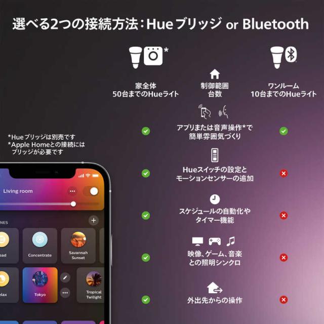 フィリップス　PHILIPS　Philips Hue Go ポータブルテーブルランプ　PHGOTLW_13