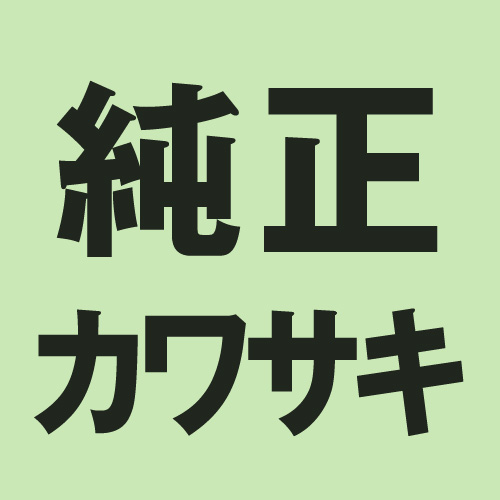 KAWASAKI(カワサキ純正) 【純正部品】CAMSHAFT-COMP，EXHAUST 49118-0022 バイク カム