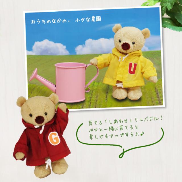 ハーブ 栽培セット しあわせのタネまきベア 別オプション 名入れ 可 栽培キット バジル 家庭菜園 誕生日プレゼント キーホルダー の通販はau Pay マーケット テディベアギフトのプティルウ