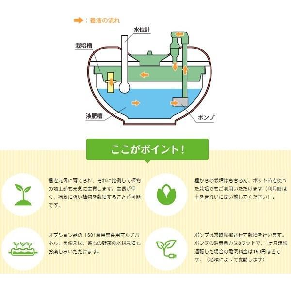 水耕栽培キット 家庭用 家庭菜園 水耕栽培 セット 屋内 ガーデニング ホームハイポニカ601果菜ちゃん ハイポニカ_5