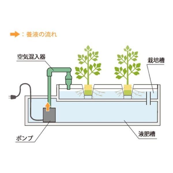 ホームハイポニカ　水耕栽培　家庭菜園 ホームハイポニカ（水耕栽培キット）｜簡単にできる家庭菜園初心者.net