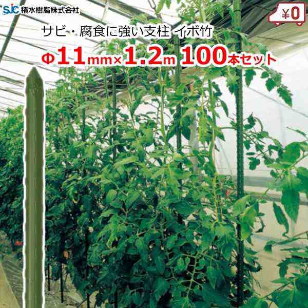 イボ竹 支柱 イボ付き 11mm×長さ1.2m 100本セット 園芸支柱 ポール 耐候性 農業 ハウス 資材 セキスイの通販は 8,658円