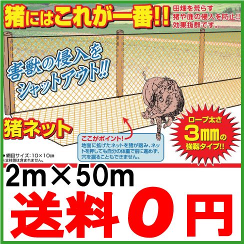 値下げ中　未使用　強力　猪ネット　目合い10cm 高さ2m 長さ50m Amazon | 強靭 猪ネット 網目10cm×高さ2m×長さ50m 【侵入防止に