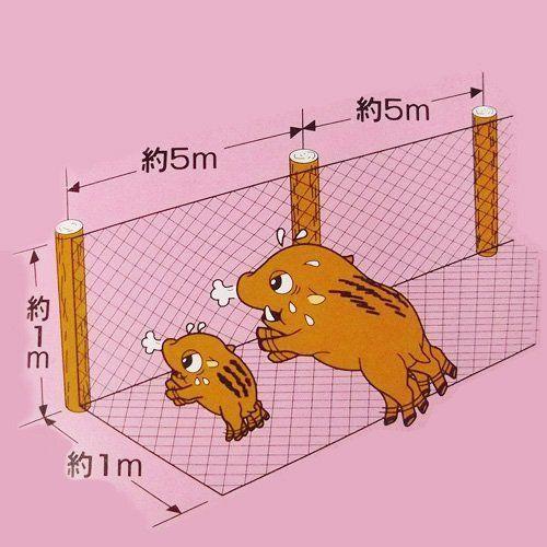 強靭 防獣ネット 2m×50m 3mm アニマルネット 害獣ネット 猪ネット 網 侵入防止 農業用ネット_2