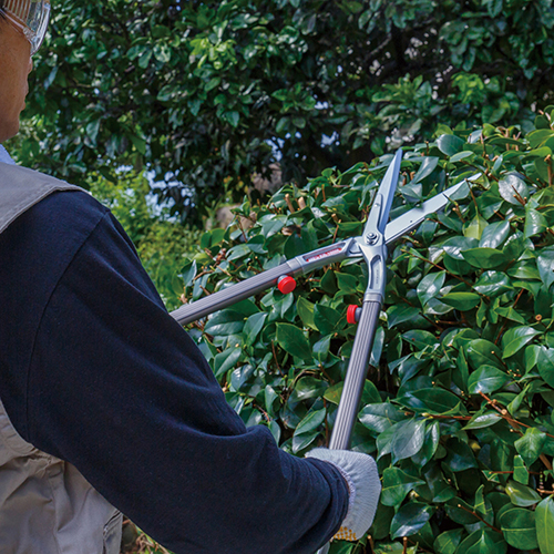 【送料無料】 アルス 替刃式 高級 刈り込み鋏 刈込鋏 刃長180mm 全長750mm KR-1000L 軽量 剪定鋏 剪定ばさみ 枝切鋏 枝切り鋏