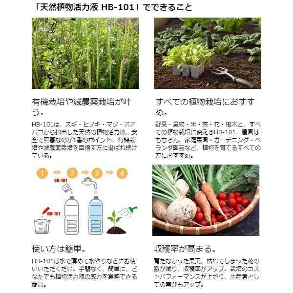 フローラ HB-101 100cc 植物 活力剤 天然 活性液 原液 栄養剤 野菜