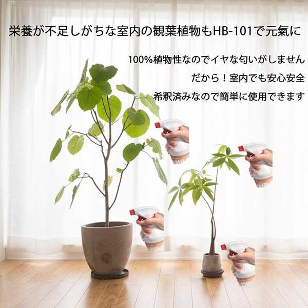 フローラ HB-101 3L 希釈済み そのまま使えるタイプ 植物 活力剤 天然