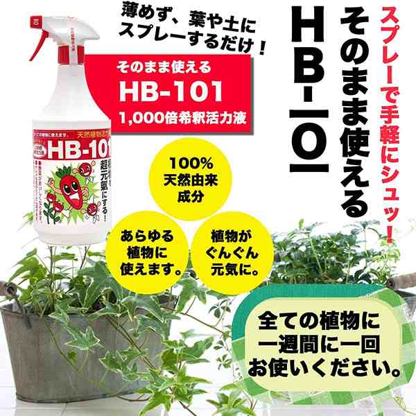 フローラ HB-101 3L 希釈済み そのまま使えるタイプ 植物 活力剤 天然