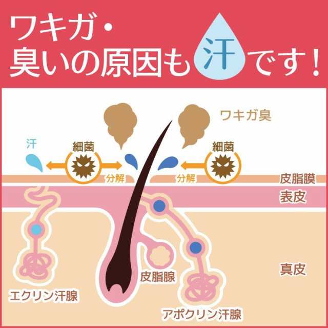 制汗剤 Ahcセンシティブ 30ml 2本セット 脇汗 臭い ワキガ 腋臭 顔汗 デオドラント 胸汗 身体の汗と臭いに 医薬部外品 Ahc Swissの通販はau Pay マーケット 美ューティフルハート