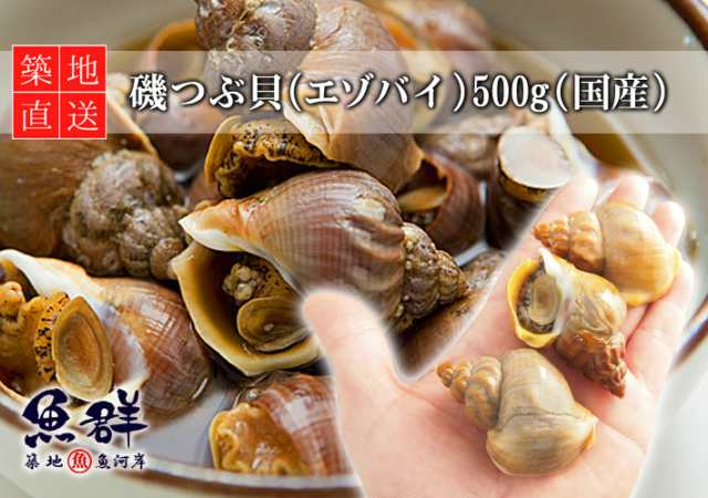 磯つぶ貝 エゾバイ 500g 国産 冷蔵便 築地直送 貝 の通販はau Pay マーケット 築地魚群 世界中の美味しい食材を 世界の豊洲市場 よりお届けします