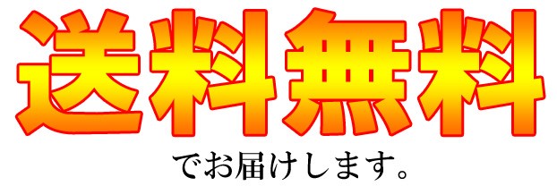 日田天領水 12L 2個セット 送料無料 （ポイント消化、天然活性水素水、バックインボックス）の通販はau PAY マーケット - ルルスポット au  PAY マーケット店