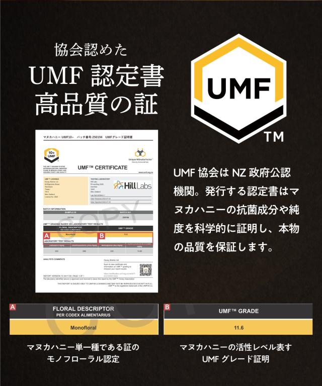 マヌカハニー UMF25+ 250g (MGO1197+) 希少 高ランク マヌカ はちみつ ハチミツ 蜂蜜 生はちみつ 100% 純粋 ニュージーランド_4