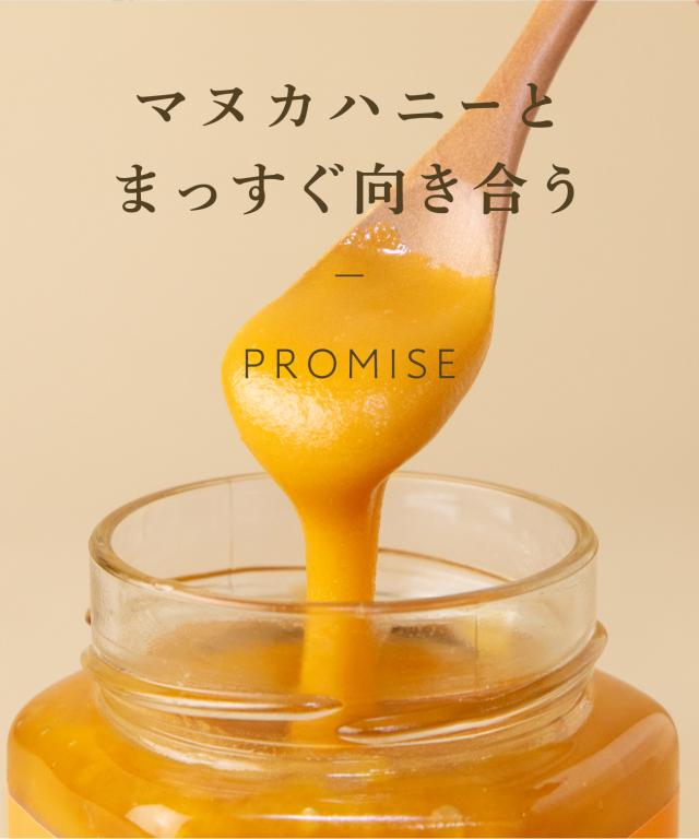 マヌカハニー UMF25+ 250g (MGO1197+) 希少 高ランク マヌカ はちみつ ハチミツ 蜂蜜 生はちみつ 100% 純粋 ニュージーランド_9