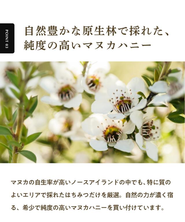 マヌカハニー UMF25+ 250g (MGO1197+) 希少 高ランク マヌカ はちみつ ハチミツ 蜂蜜 生はちみつ 100% 純粋 ニュージーランド_12