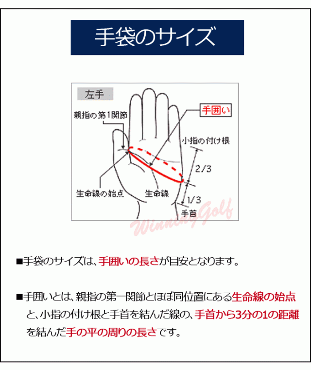 即納☆Kasco キャスコ 全天候型 ゴルフグローブ（手袋） 左手 RR-1015（RR1015) [メール便可能]の通販はau PAY マーケット  - レビューでポイント2％ 還元祭クーポン対象 ウイニングゴルフ