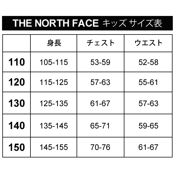 キッズ スウェット プルオーバー パーカー 男の子 女の子 ジュニア 子供服 ノースフェイス THE NORTH FACE  ブロックドスウェットフーディの通販はau PAY マーケット APWORLD au PAY マーケット－通販サイト