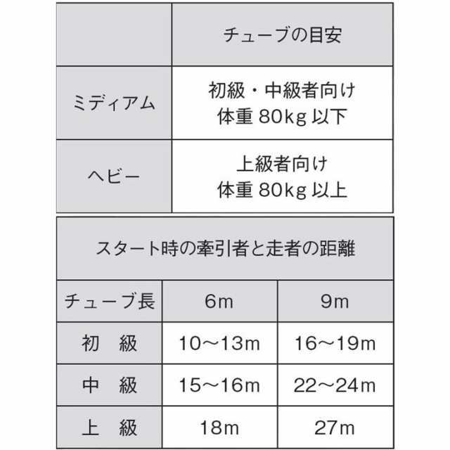 ニシスポーツ NISHI 陸上競技 ダブルマンオーバースピード 9m