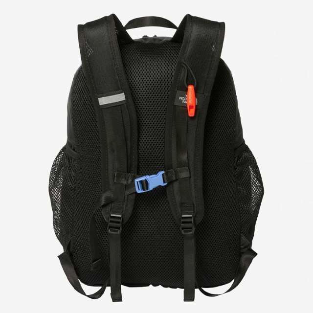 ザ・ノース・フェイス キッズ リュック 15L 子供用 THE NORTH