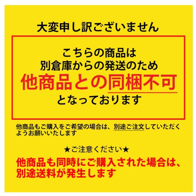 プーマ リュックサック 40L メンズ レディース バッグ PUMA アルティモ ラージ バックパック 大容量 スポーツバッグ ユニセックス トレーニングバッグ 部活 通学 通勤 普段使い 旅行 男女兼用バッグ ブランド かばん アクセサリー/091702【ギフト不可】【pu22pd】