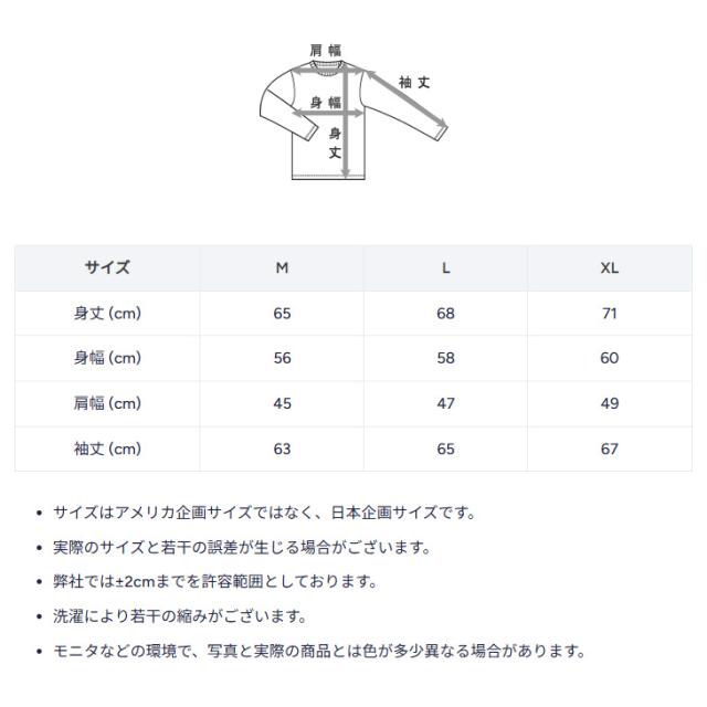 チャンピオン スウェットシャツ 裏起毛 メンズ Champion リバースウィーブ 長袖 トレーナー クルーネック 保温 秋冬用 スエット キャラクター アメカジ メンズウェア トップス ウエア 服 ブランド アパレル メンズファッション/C3-C008_16