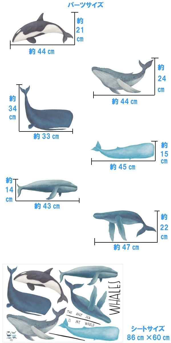 ウォールステッカー 動物 おしゃれ 子供部屋 クジラ 海 鯨 くじら 女の子 男の子 シャチ お風呂 ステッカー かわいい 子ども 窓 知育 海の通販はau Pay マーケット Value Deco Park