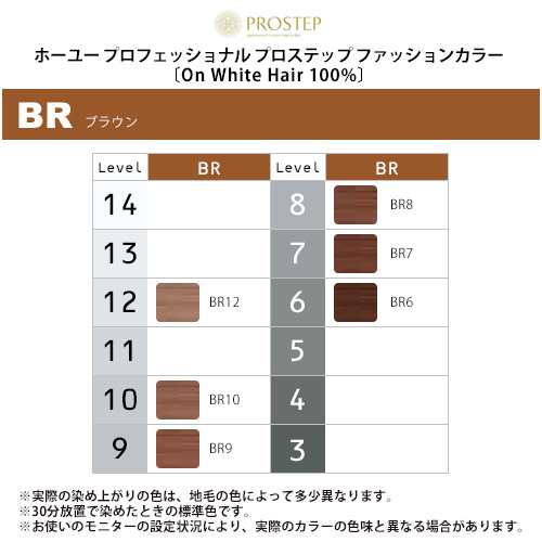 ホーユー プロフェッショナル プロステップ ファッションカラー 1剤