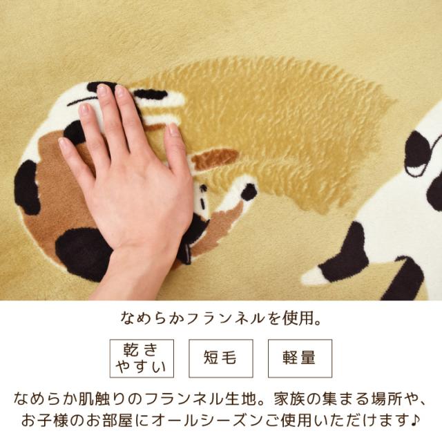 ラグ 北欧 ラグマット カーペット 厚手 猫 約185×185cm 2畳 ホットカーペット ホットカーペットカバー 2点セット 本体＋カバー マット ホットマット 電気カーペット オフタイマー付き カバー付き 省エネ 猫柄 あたたかい かわいい ふわふわ_3