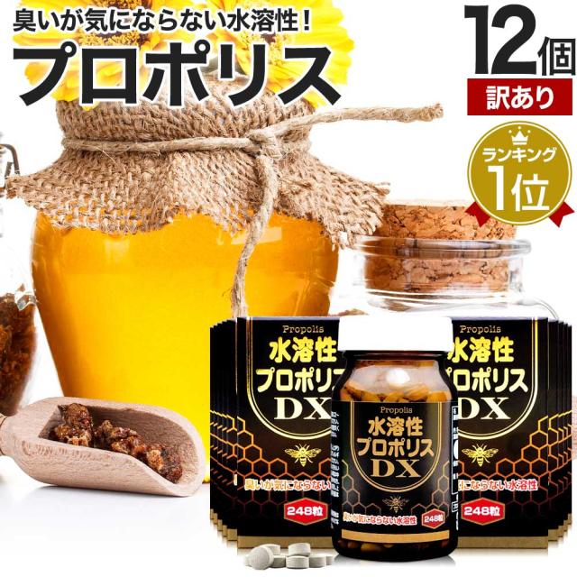 訳あり 水溶性プロポリスDX粒 248粒×12個セット 約324〜372日分 賞味期限2025年3月のみ 送料無料 宅配便 | プロポリス エキス プロポリスエキス プロポリスサプリ プロポリスサプリメント 美容 サプリ サプリメント タブレット 男性 女性 アウトレット まとめ買いの通販は
