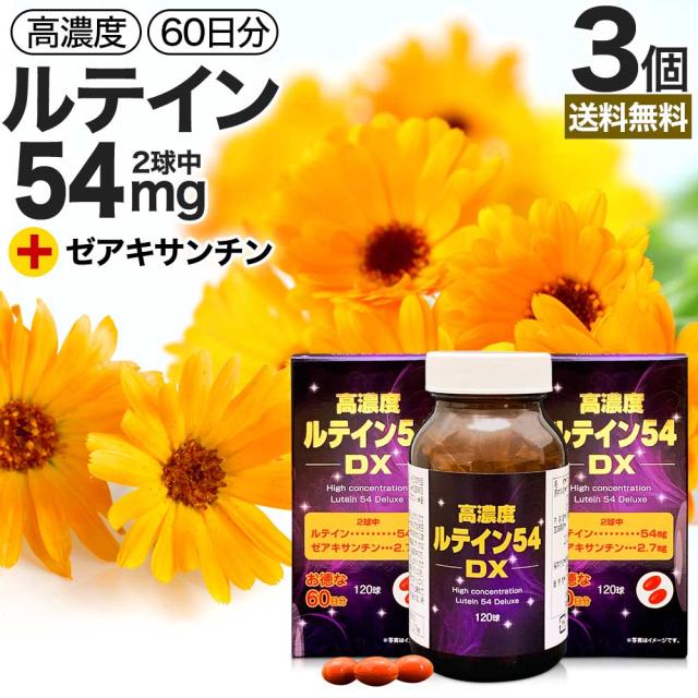 Hair Elements SpecimenCollection Kit毛髪検査