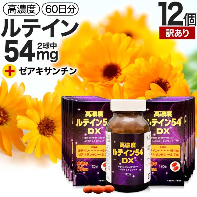 訳あり 高濃度ルテイン54DX 120球×12個セット 約720日分 賞味期限2027年11月以降 送料無料 宅配便 | ルテイン ゼアキサンチン マリーゴールド カロテノイド 緑黄色野菜 サプリ サプリメント カプセル アウトレット まとめ買い