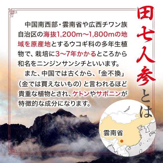訳あり 田七人参DX 360粒×3個セット 約90日分 賞味期限2026年7月以降 送料無料 宅配便 | 田七人参 田七人参サプリメント 田七人参サプリ でんしちにんじん 伝七人参 舞茸 まいたけ マイタケ 菌糸体 エキス サプリ サプリメント 粒 男性 女性 アウトレット まとめ買い_3
