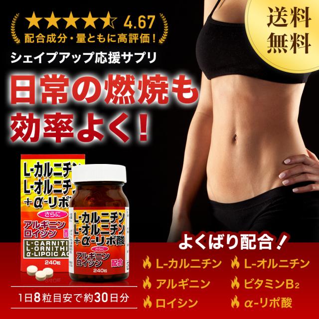 L-カルニチン＋α-リポ酸 240粒×12個セット 約360日分 送料無料 宅配便 | ダイエット サプリ サプリメント ダイエット食品 ダイエットサプリメント 男性 女性 カルニチン αリポ酸 アルファリポ酸 オルニチンl オルニチン アルギニン ロイシン 粒 タブレット まとめ買い_1