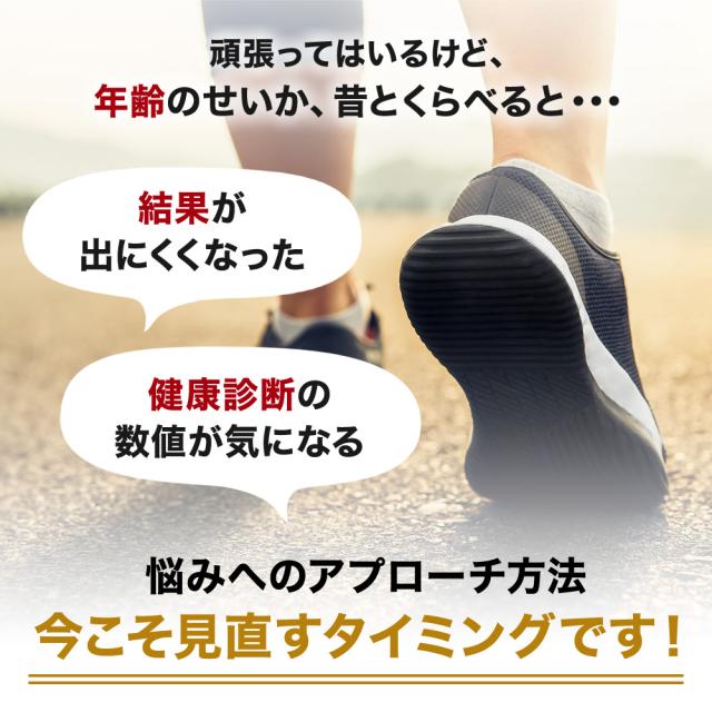 L-カルニチン＋α-リポ酸 240粒×12個セット 約360日分 送料無料 宅配便 | ダイエット サプリ サプリメント ダイエット食品 ダイエットサプリメント 男性 女性 カルニチン αリポ酸 アルファリポ酸 オルニチンl オルニチン アルギニン ロイシン 粒 タブレット まとめ買い_2