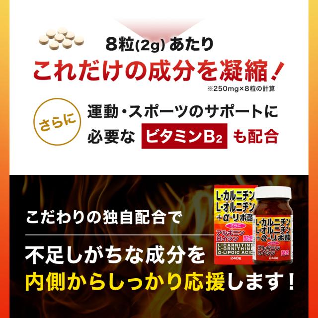 L-カルニチン＋α-リポ酸 240粒×12個セット 約360日分 送料無料 宅配便 | ダイエット サプリ サプリメント ダイエット食品 ダイエットサプリメント 男性 女性 カルニチン αリポ酸 アルファリポ酸 オルニチンl オルニチン アルギニン ロイシン 粒 タブレット まとめ買い_7