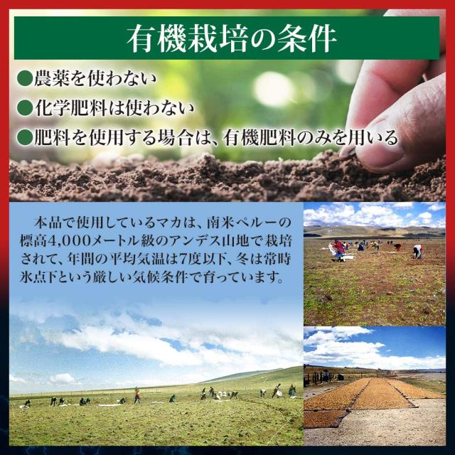 リピート限定52％OFF エキサイトパワープラス 240粒×3個セット 約90日分 送料無料 メール便 | マカ maka マカサプリメント マカサプリ 有機マカ粒 有機 オーガニック 妊活 冬虫夏草 シトルリン トンカットアリ ムクナ 亜鉛 酵母 亜鉛サプリ サプリ 粒 男性 女性 まとめ買い