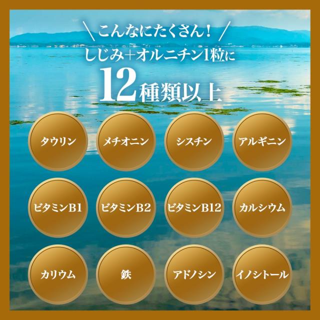 しじみ＋オルニチン 160粒×12個セット 約240〜312日分 送料無料 宅配便 | しじみ サプリ しじみサプリメント しじみエキス しじみオルニチン サプリメントしじみ オルニチン l オルニチンサプリ オルニチンサプリメント しじみ汁 ランキング まとめ買い_7