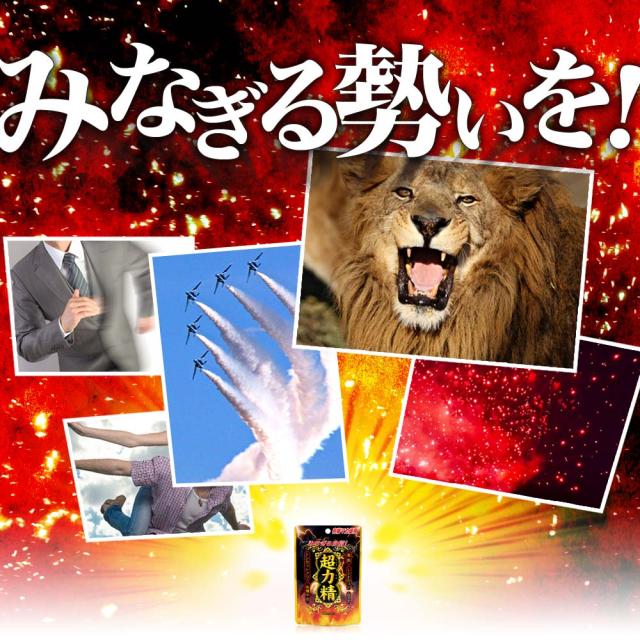 超力精 (40カプセル) 40カプセル×48個セット 約960日分 送料無料 宅配便 | マカ maka マカサプリメント マカサプリ 有機マカ 有機マカ粒 有機 シトルリン トンカットアリ ムクナ 亜鉛 酵母 亜鉛サプリメント 亜鉛サプリ サプリ サプリメント 粒 男性 女性 まとめ買い