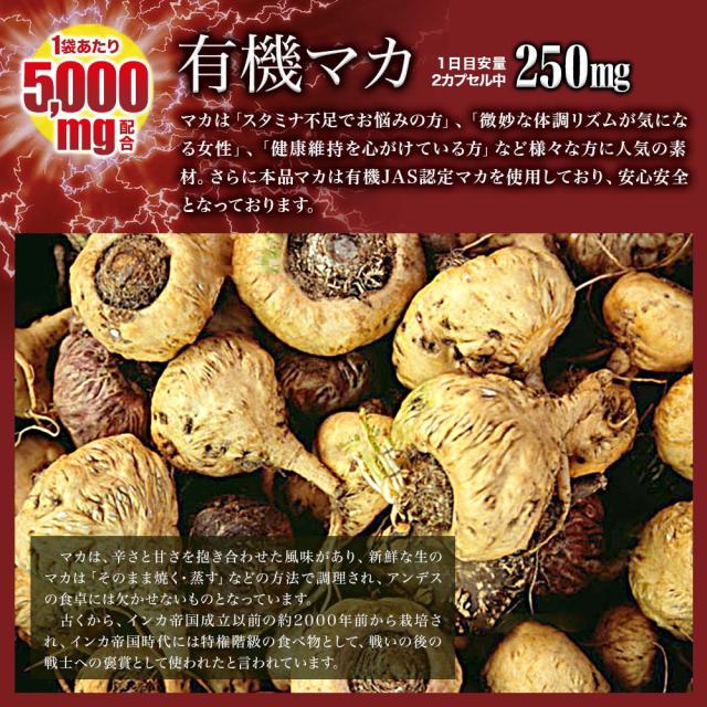 超力精 (40カプセル) 40カプセル×48個セット 約960日分 送料無料 宅配便 | マカ maka マカサプリメント マカサプリ 有機マカ 有機マカ粒 有機 シトルリン トンカットアリ ムクナ 亜鉛 酵母 亜鉛サプリメント 亜鉛サプリ サプリ サプリメント 粒 男性 女性 まとめ買い