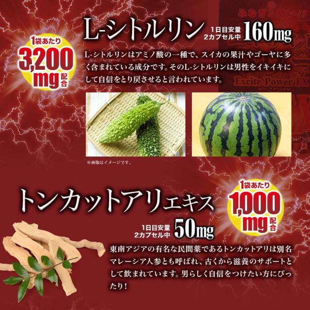 超力精 (40カプセル) 40カプセル×48個セット 約960日分 送料無料 宅配便 | マカ maka マカサプリメント マカサプリ 有機マカ 有機マカ粒 有機 シトルリン トンカットアリ ムクナ 亜鉛 酵母 亜鉛サプリメント 亜鉛サプリ サプリ サプリメント 粒 男性 女性 まとめ買い
