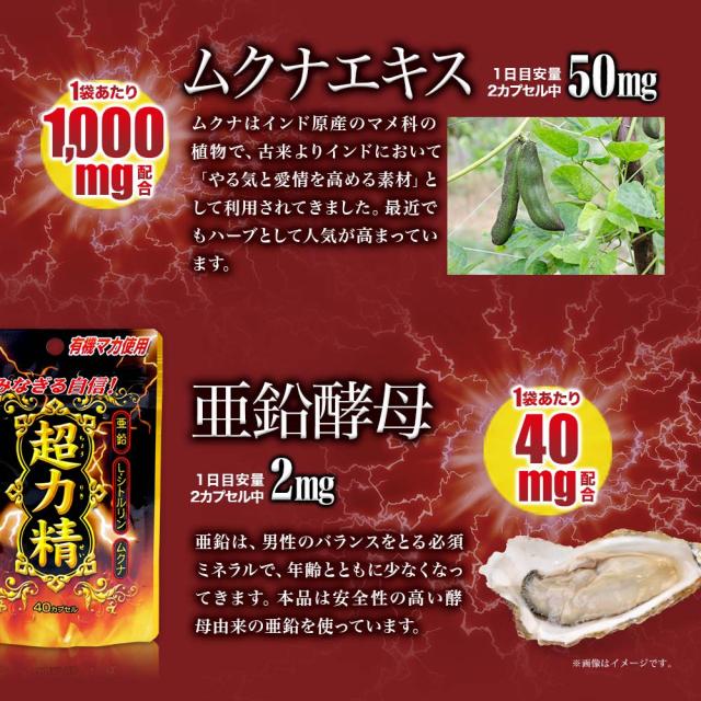 超力精 (40カプセル) 40カプセル×48個セット 約960日分 送料無料 宅配便 | マカ maka マカサプリメント マカサプリ 有機マカ 有機マカ粒 有機 シトルリン トンカットアリ ムクナ 亜鉛 酵母 亜鉛サプリメント 亜鉛サプリ サプリ サプリメント 粒 男性 女性 まとめ買い
