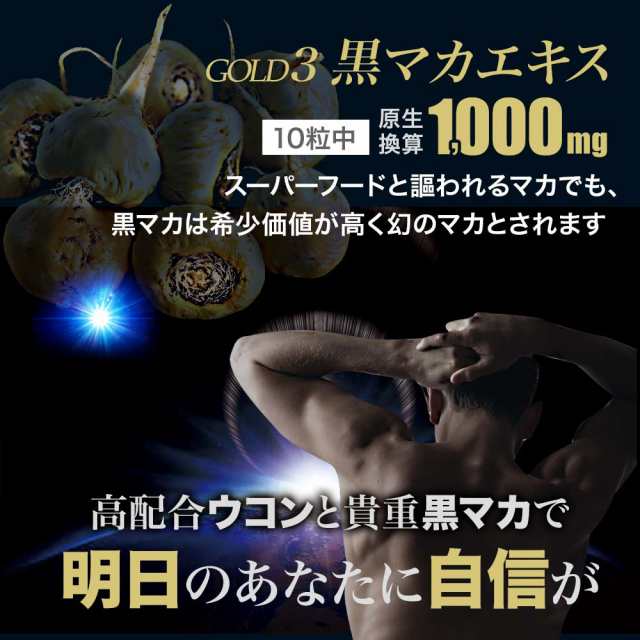 訳あり 黒マカ＋ウコンEX 200粒 約20～30日分 賞味期限2024年3月以降 送料無料 メール便 | マカ maka マカサプリ 黒マカ  秋ウコン ウコンの通販はau PAY マーケット - 健康食品と馬油専門店 ユウキ製薬