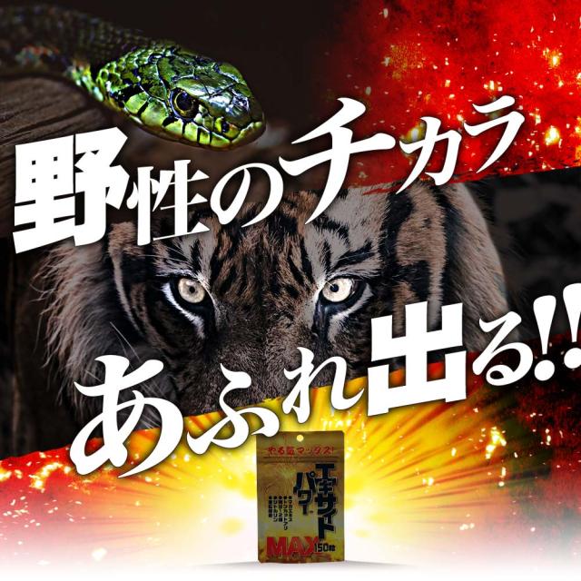 エキサイトパワーMAX 150粒×48個セット 約720〜1200日分 送料無料 宅配便 | マカ maka シトルリン トンカットアリ すっぽん にんにく 亜鉛 精力剤 などの 薬 が 不安な方に サプリ サプリメント 男性 女性 マカサプリメント マカサプリ 赤まむし まとめ買い