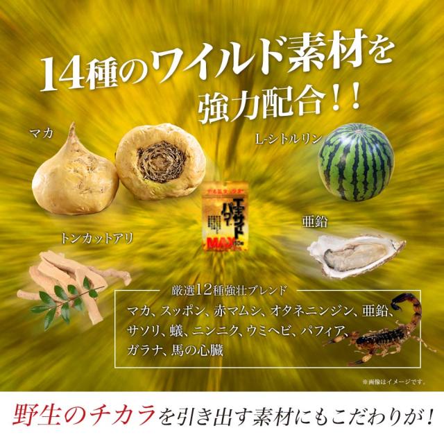エキサイトパワーMAX 150粒×48個セット 約720〜1200日分 送料無料 宅配便 | マカ maka シトルリン トンカットアリ すっぽん にんにく 亜鉛 精力剤 などの 薬 が 不安な方に サプリ サプリメント 男性 女性 マカサプリメント マカサプリ 赤まむし まとめ買い